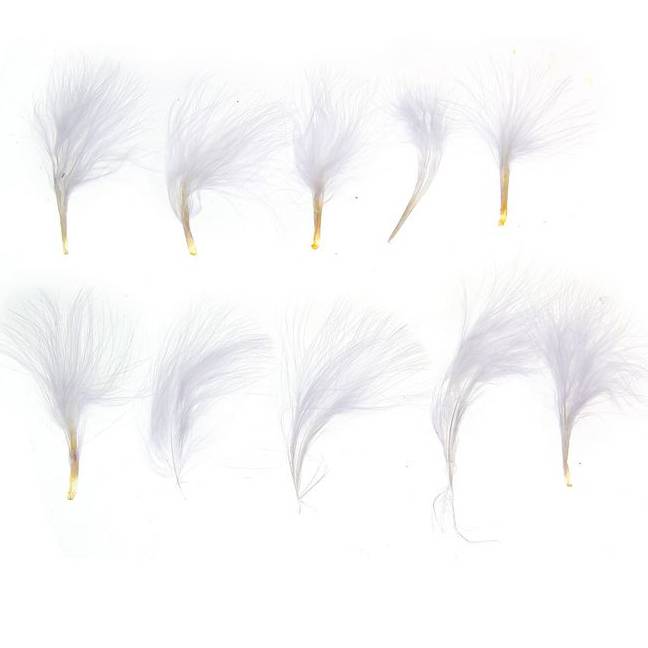 Набор перьев для декора 10 шт, размер 1 шт 7*7 цвет белый