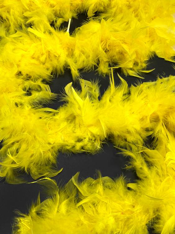 Боа 70г/1,8м цв.лимон 010